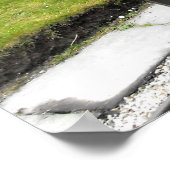 Stomtrein Zebedee Poster (Hoek)