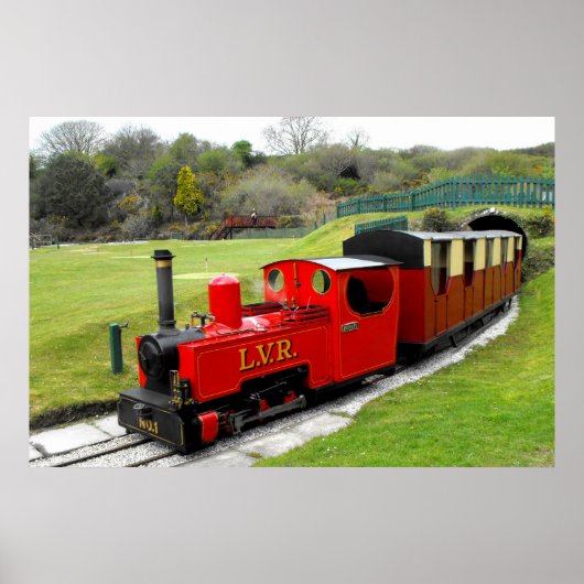 Stomtrein Zebedee Poster (Voorkant)