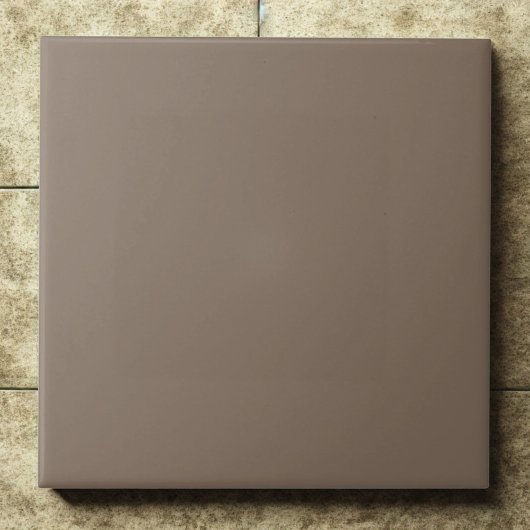 Stone #837060 – Deep, Subtle, Neutral Elegance Tegeltje