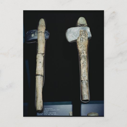 Stone Axes, prehistorisch Briefkaart (Voorkant)