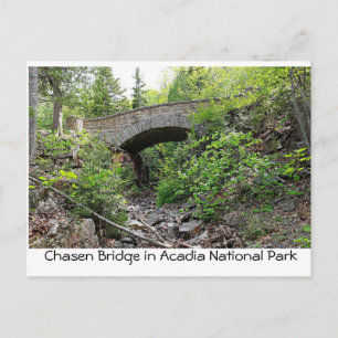 Stone bridge - Nationaal Park Acadia Briefkaart