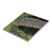 Stone Bridge over Lily Pond Natuur Tegeltje (Zijkant)