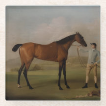 Stone Coaster Equestrian 