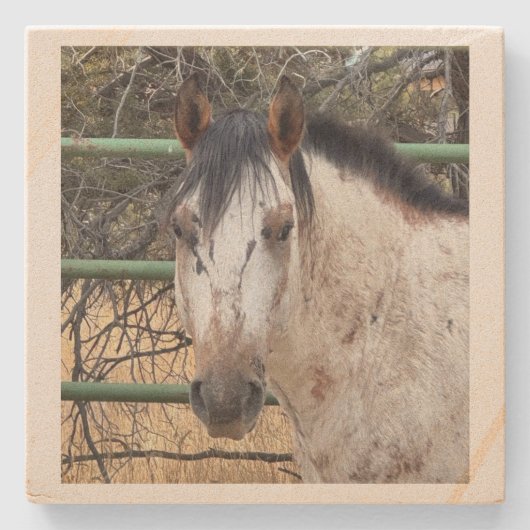 Stone Coaster- Happy Appy  Stenen Onderzetter (Voorkant)