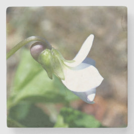 Stone Coaster Stenen Onderzetter