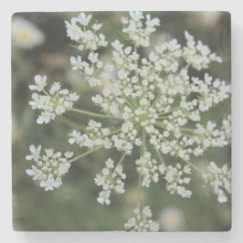 Stone Coaster Stenen Onderzetter