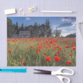 Stone Farmhouse met een ruby Red Tulip Field Tissuepapier (Craft)