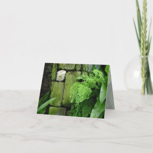 Stone Garden - Opmerking Kaart