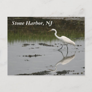 Stone Harbour Egret Briefkaart