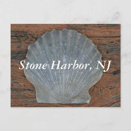 Stone Harbour Scallop Shell Briefkaart (Voorkant)