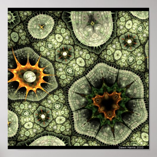 Stone Lichen Poster (Voorkant)