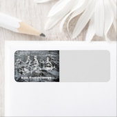 Stone Mountain Georgia Etiket (Insitu)