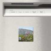 Stone Mountain Georgia Magneet (Insitu (Vaatwasser))