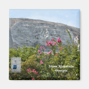 Stone Mountain Georgia Magneet