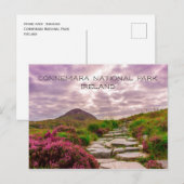 Stone Path, Wildbloemen, Connemara National Park Briefkaart (Voorkant / Achterkant)