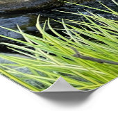 Stone River bed | waterval | bosgroen Poster (Hoek)