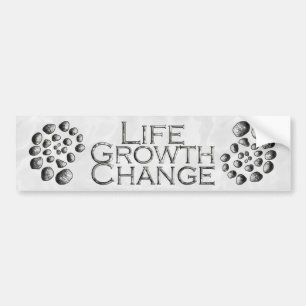 Stone Spiral Life Growth Change Bumpersticker