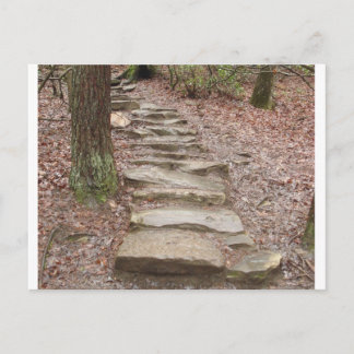Stone Stair Path bij Herfst Creek Herfsten, TN Briefkaart