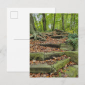 Stone stappen in de Bossen Briefkaart (Voorkant / Achterkant)