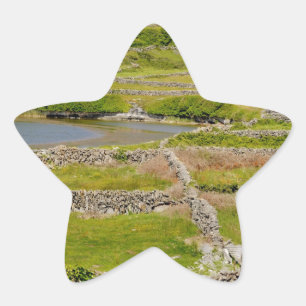Stone Walls of Ireland Ster Sticker