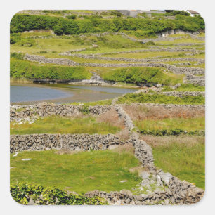 Stone Walls of Ireland Vierkante Sticker