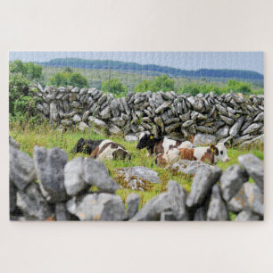 Stone Walls of Kerry. Legpuzzel