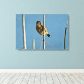 Stonechat Canvas Afdruk (Insitu (Houten vloer))
