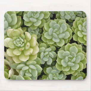 Stonecrop plantpatroon muismat