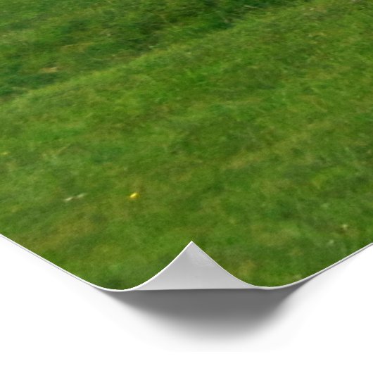 Stonehenge, Engeland Poster (Hoek)