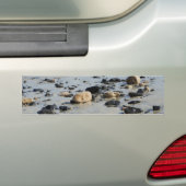 Stones Bumper Sticker (Op auto)