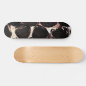 Stones de patinage ~ Skateboard (Horz)