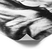 Stonewall Jackson Poster (Hoek)