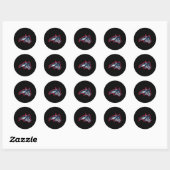 Stony Brook Seawolves Icon Ronde Sticker (Vel)