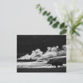 Stoombizon - Briefkaart (Staand voorkant)