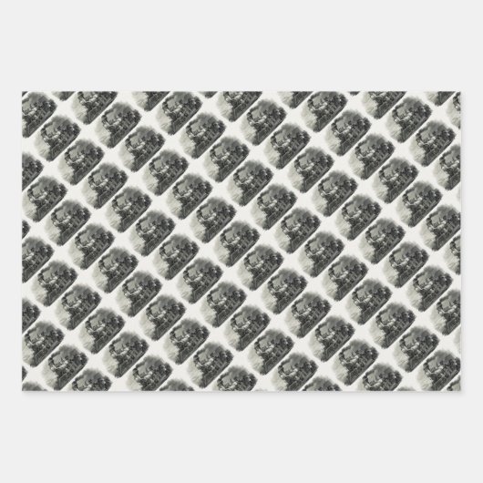 stoomtrein inpakpapier vel (Voorkant 2)