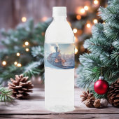 stoomtrein winterbesneeuwde bergen waterfles etiket