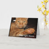 Stop daar kaart (Gele Bloem)