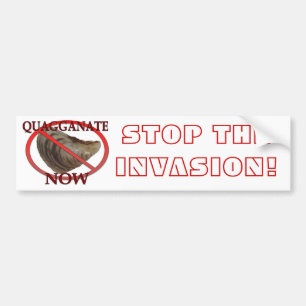 Stop de invasie bumpersticker
