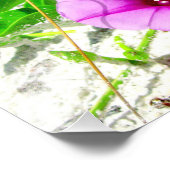 Stop en Ruik de Beach Rozen Foto Foto Afdruk (Hoek)