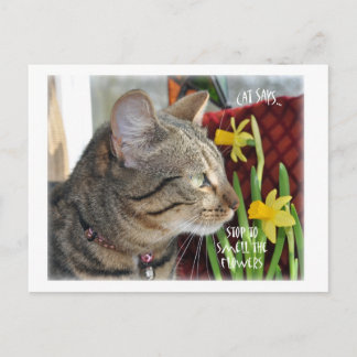 Stop en Ruik de bloemen Briefkaart