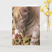 Stop en Ruik de bloemen Kaart (Gele Bloem)