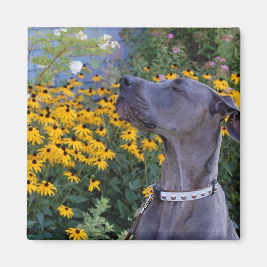 Stop en Ruik de Bloemen Magneet (Voorkant)