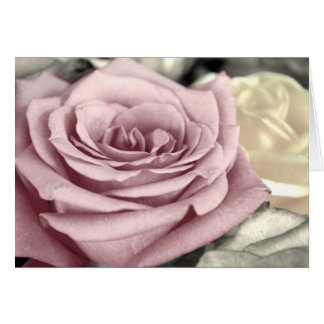 ~SToP ND SMeLL THe Rozen~