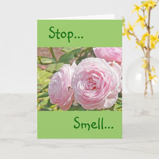 "STOP...RUIK...EN ONTHOUD HET ROOS..." KAART (Gele Bloem)