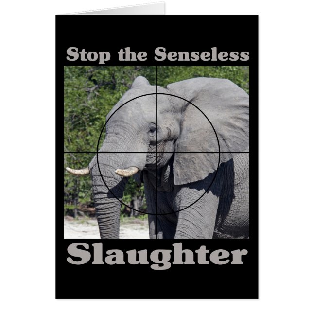 Stop slachting-olifant (Voorkant)