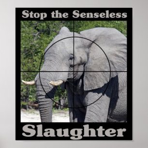 Stop slachting-olifant poster