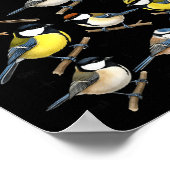 Stop Staring At My Funny Birdwatching Birds Lover  Poster (Hoek)