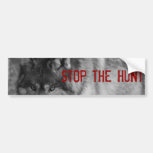 "StoP THE HUNT" Wild Wolf Bumpersticker