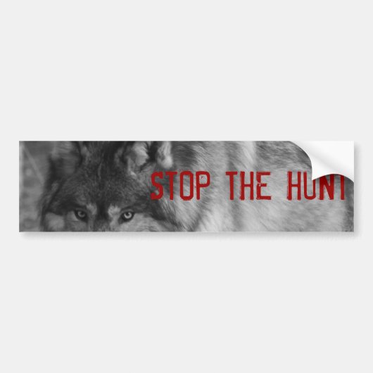 "StoP THE HUNT" Wild Wolf Bumpersticker (Voorkant)