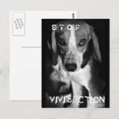 Stop vivisectie - Briefkaart (Voorkant / Achterkant)